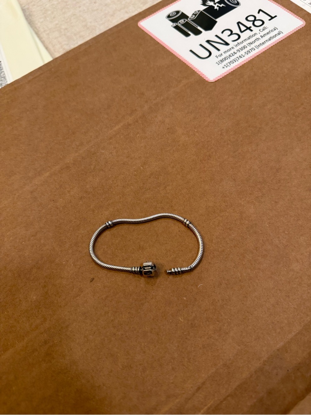 Pandora Classic Bracelet
